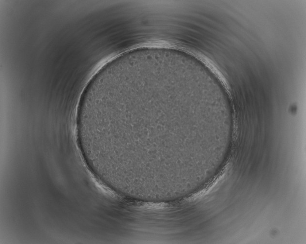 X0000116860845201001191700