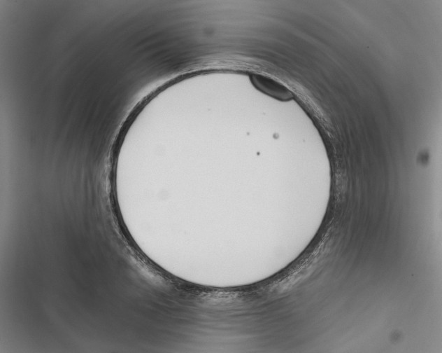 X0000116860846201001191700