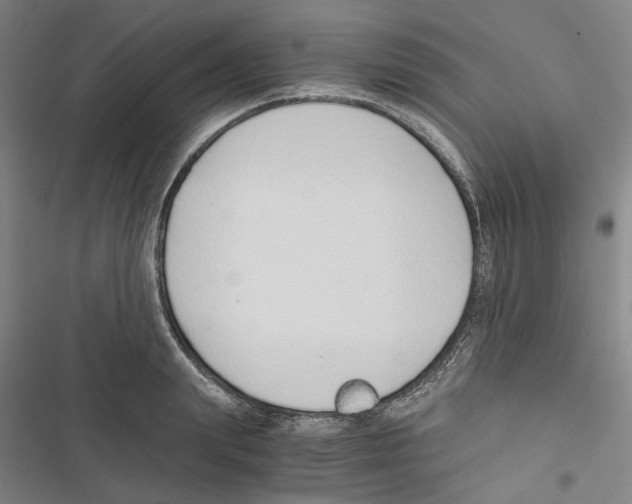 X0000116860847201001191700