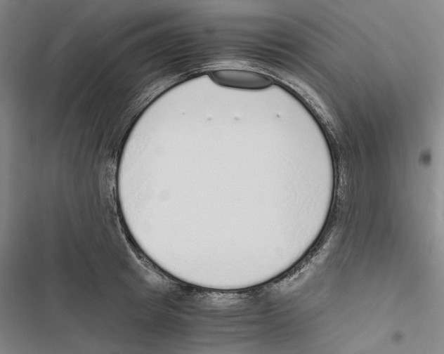 X0000116860849201001191700