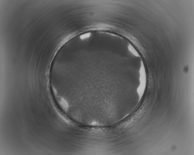 X0000116860850201001191700