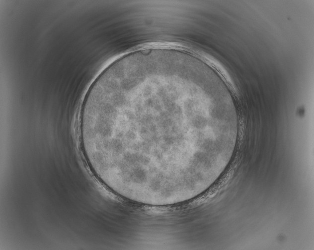 X0000116860852201001191700