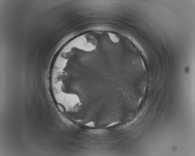 X0000116860853201001191700