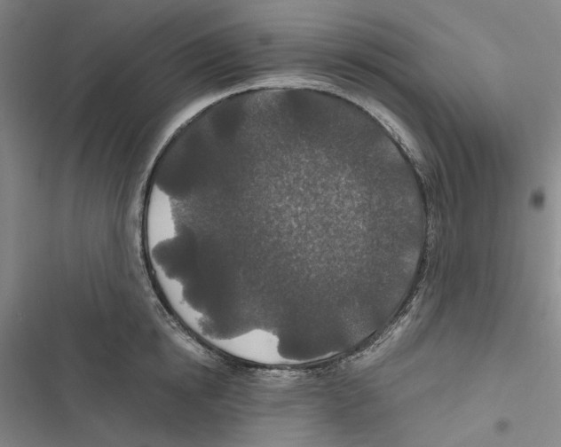 X0000116860854201001191700