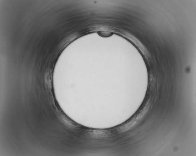 X0000116860857201001191700