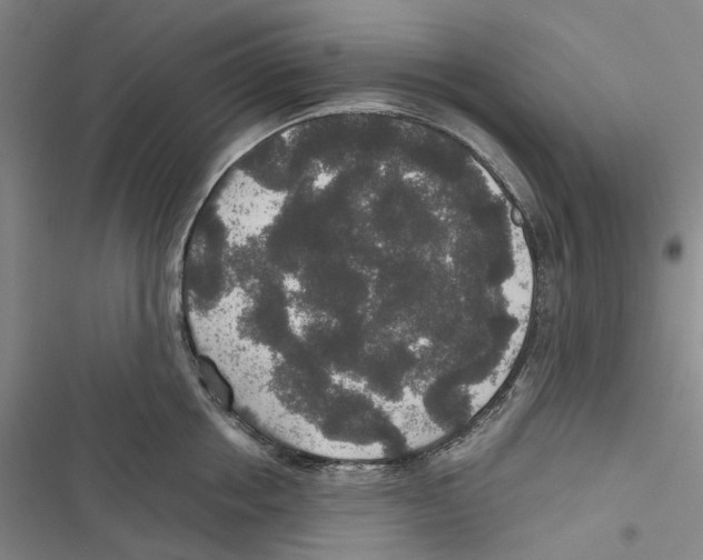 X0000116860858201001191700