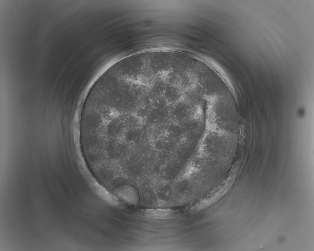 X0000116860859201001191700