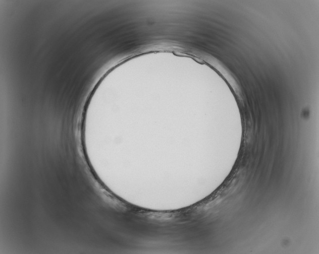 X0000116860861201001191700