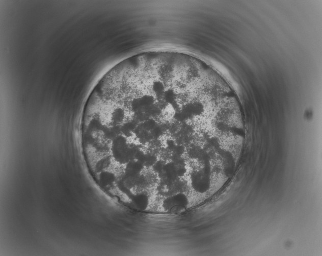 X0000116860863201001191700