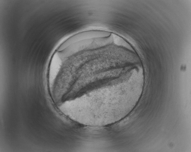 X0000116860864201001191700