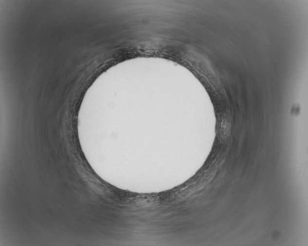 X0000116860865201001191700