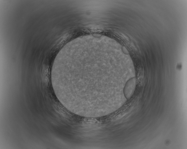 X0000116860866201001191700