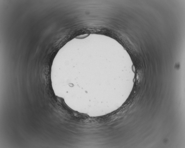 X0000116860867201001191659