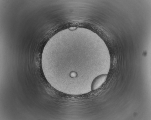 X0000116860868201001191659