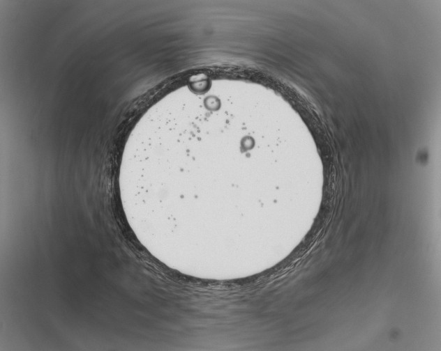 X0000116860869201001191659