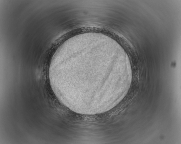 X0000116860870201001191659