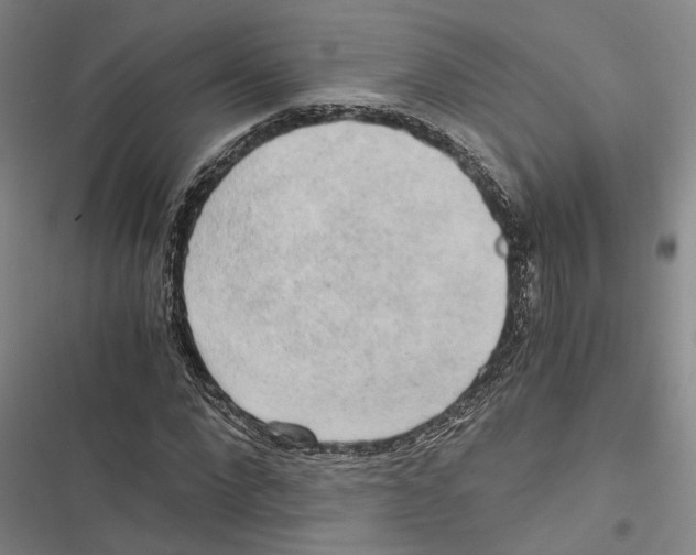 X0000116860872201001191659