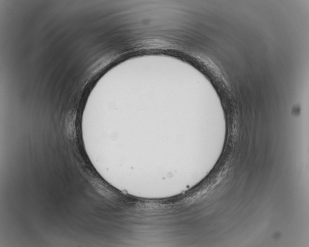 X0000116860873201001191659