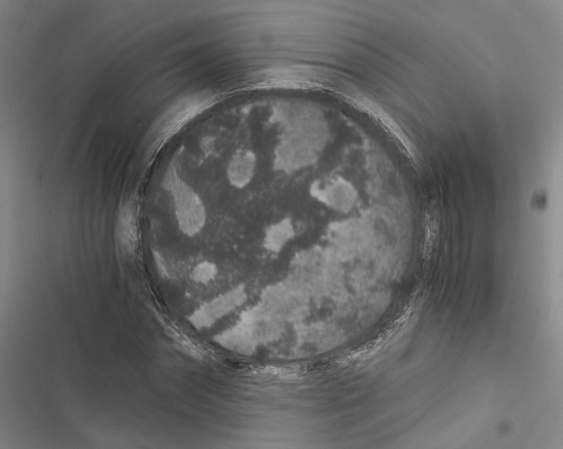 X0000116860874201001191659