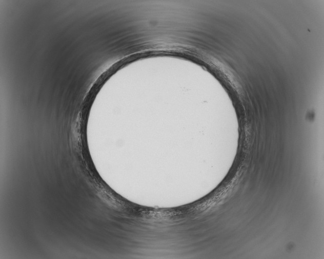 X0000116860875201001191659