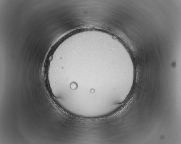 X0000116860876201001191659