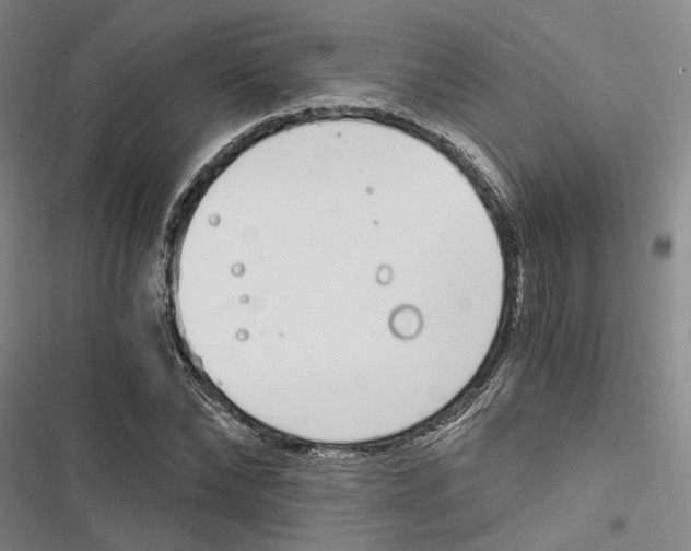 X0000116860878201001191659