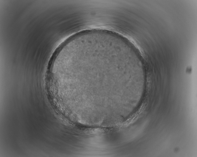 X0000116860879201001191659