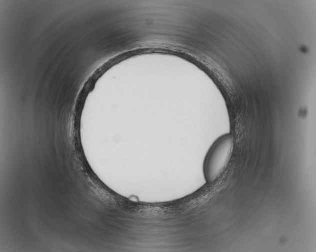 X0000116860880201001191659