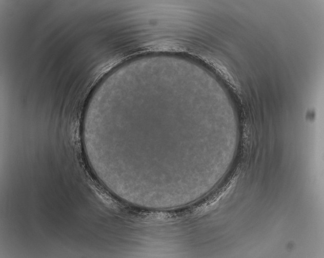 X0000116860881201001191659