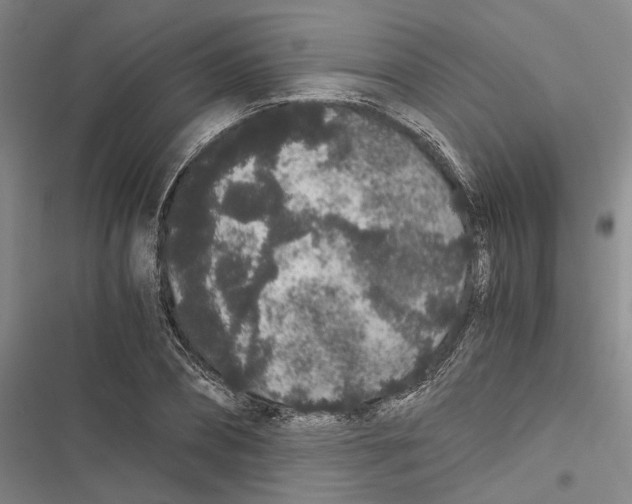 X0000116860882201001191659