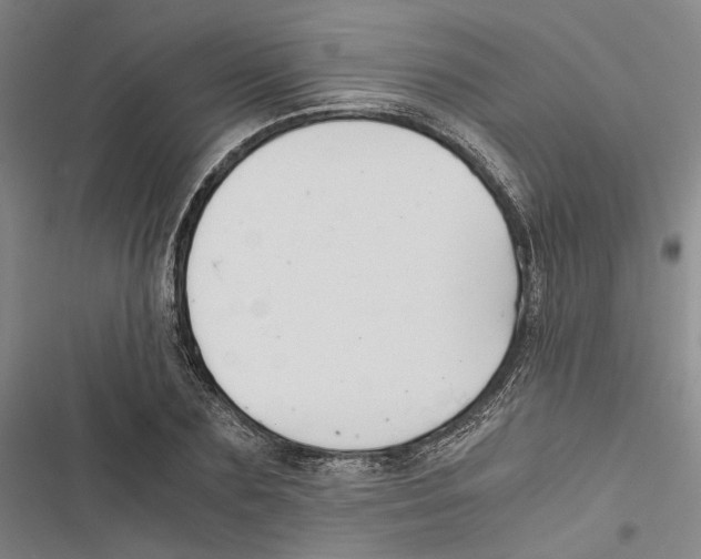 X0000116860883201001191659