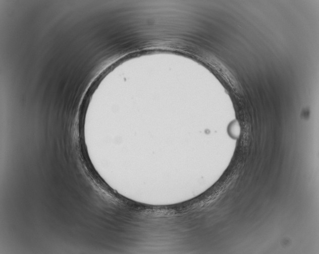 X0000116860884201001191659