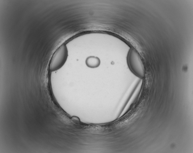 X0000116860885201001191659