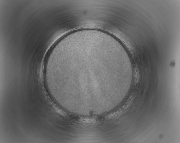 X0000116860886201001191659