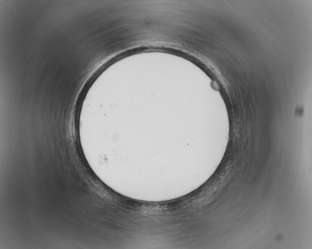 X0000116860887201001191659