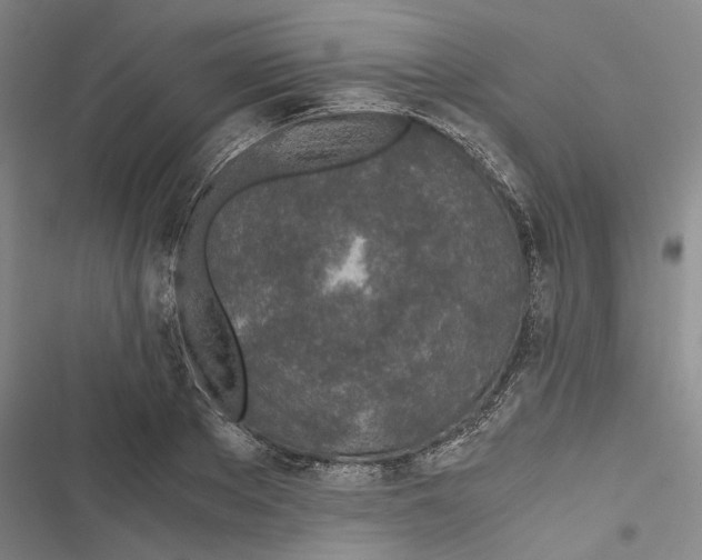 X0000116860889201001191659