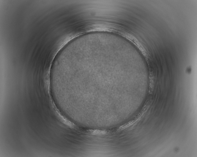 X0000116860890201001191659