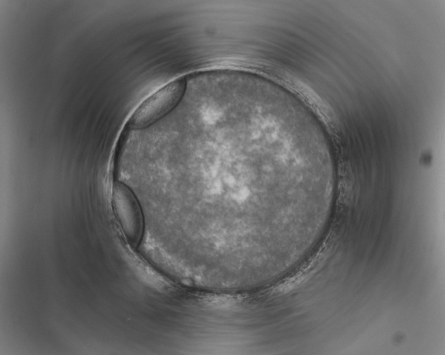 X0000116860892201001191659