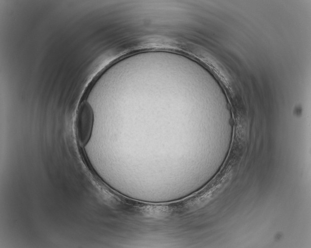 X0000116860893201001191659