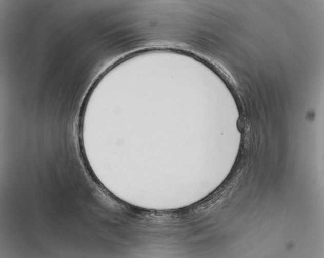 X0000116860895201001191659