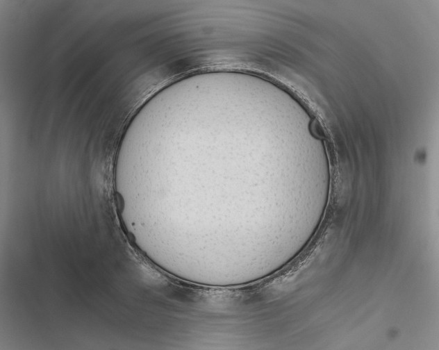 X0000116860897201001191659