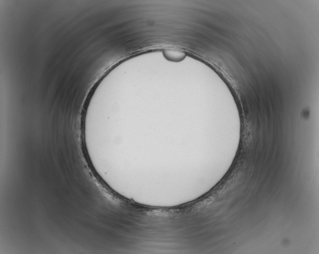 X0000116860898201001191659