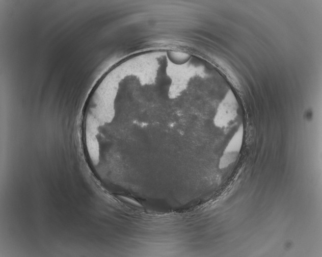 X0000116860899201001191659