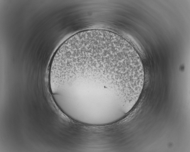 X0000116860900201001191659