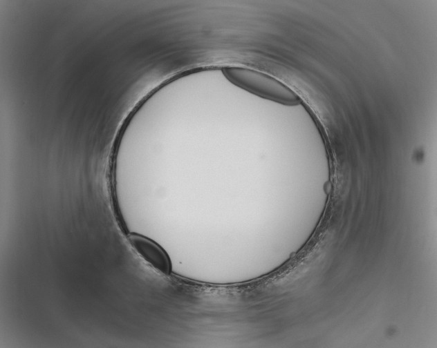 X0000116860901201001191659