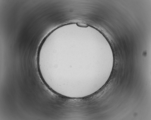 X0000116860902201001191659