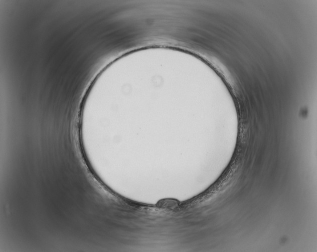 X0000116860903201001191659