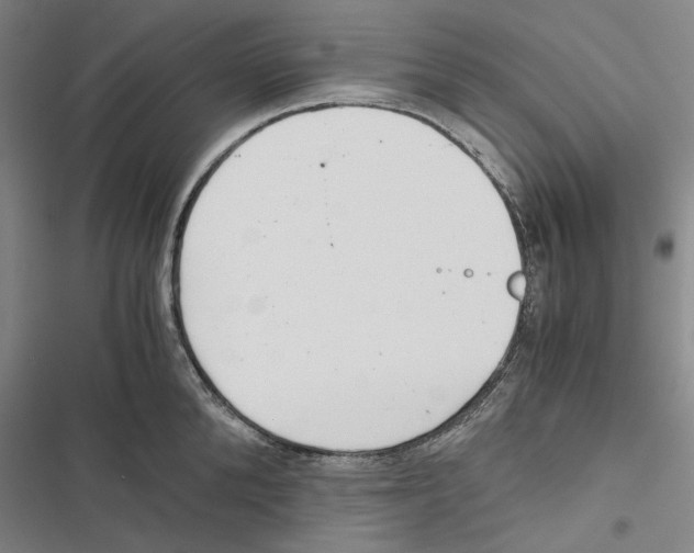 X0000116860904201001191659