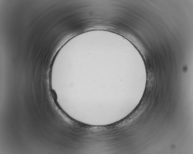 X0000116860906201001191659