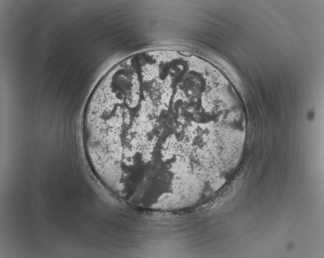 X0000116860907201001191659